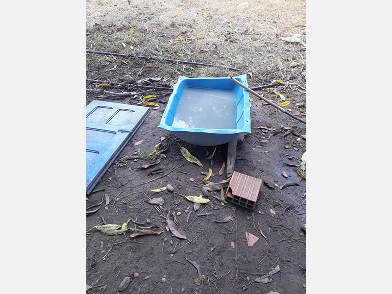 ...