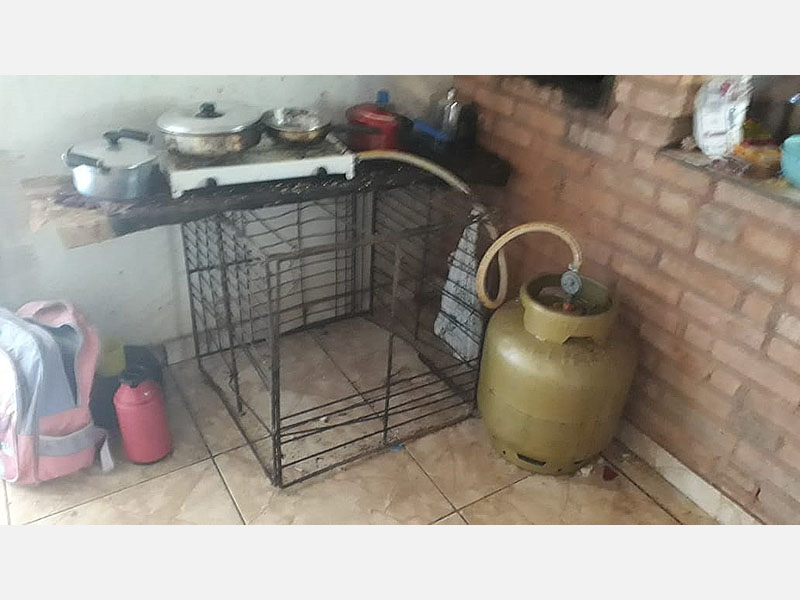 ...
